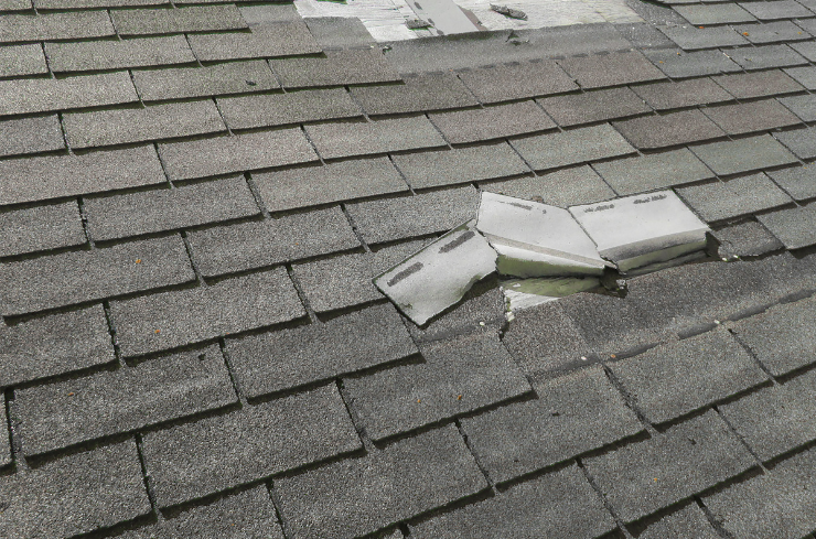 Discover Hidden Roof Problems with a Professional Roof Inspection