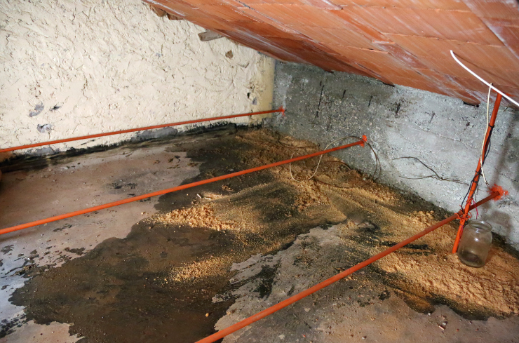 Discover Hidden Roof Problems with a Professional Roof Inspection