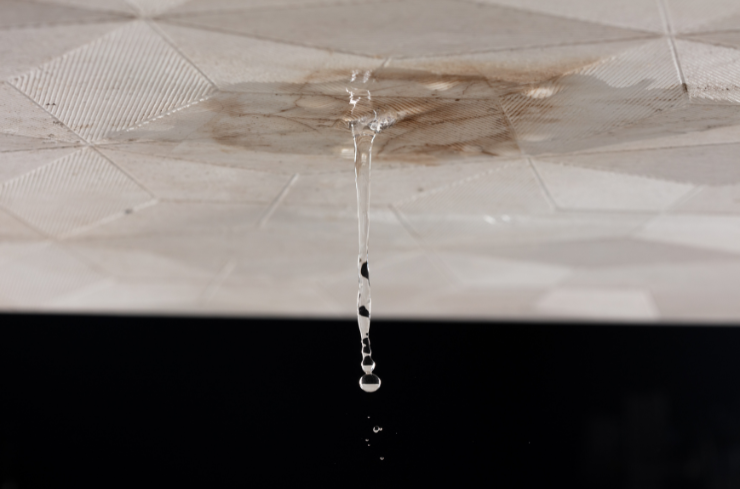Discover Hidden Roof Problems with a Professional Roof Inspection