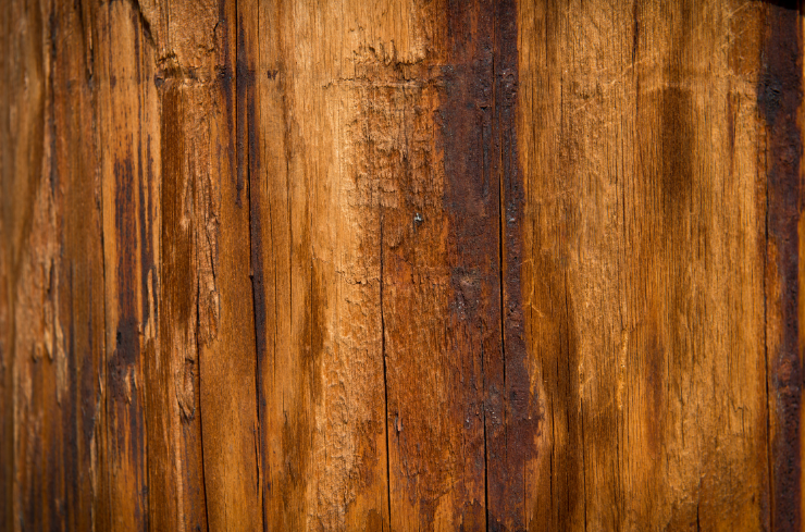 The Top Flooring Trends Dominating Home Design