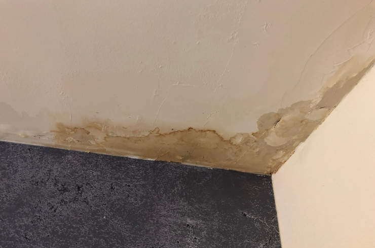 Roof leak inspection for insurance claim documentation