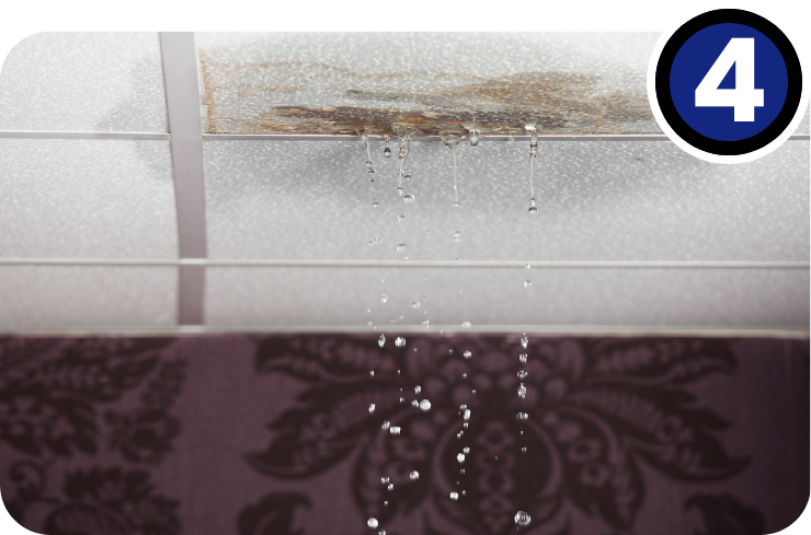Last Call for Roof Replacement: Avoid Costly Winter Damage This Fall